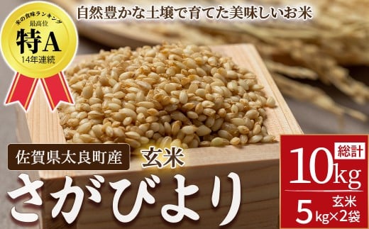佐賀県太良町産~牟田農園のさがびより 10kg<玄米>  ごはん 米 お米 玄米 こめ コメ ブランド米 げんまい 国産 お米 特Aランク 美味しい おにぎり お弁当 佐賀県 太良町 P123