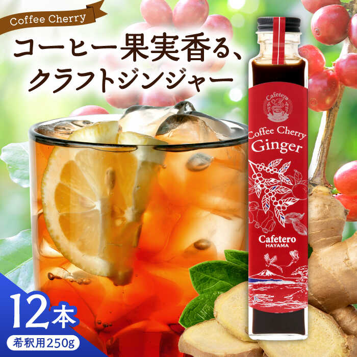 【ふるさと納税】【先行予約】【2025年7月中旬から順次発送】カフェテーロ葉山　コーヒーチェリージンジャー　250g×12本 / ジュース 飲料 ジンジャー ギフト コーヒー 酸味 フルーティ チェリー 250ml 神奈川県 葉山町【合同会社エンディレクト】[ASBM004]