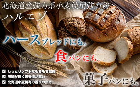 北海道産強力 ハルエゾ 25kg 【ふるさと納税 人気 おすすめ ランキング 強力粉 パン 粉 小麦粉 北海道 豊浦町 送料無料】TYUAI001 