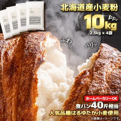 ふるさと納税 室蘭市 北海道産 はるゆたかブレンド小麦粉 シルバーライズ(パン用強力粉)10kg