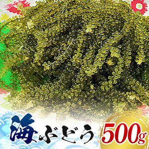 【てだこのまちのグリーンキャビア】海ぶどう（500g）