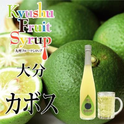 ふるさと納税 水俣市 九州を飲む! 九州果実 シロップ カボス 500ml 1本 【福田農場】