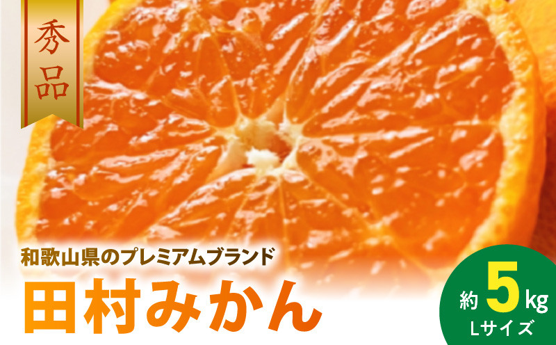 
                  AB7305_ 【2026年先行予約】プレミアムブランド 田村みかん Lサイズ 秀品 約5kg  和歌山県産 蜜柑 ミカン フルーツ 果物 ギフト お歳暮 完熟
                