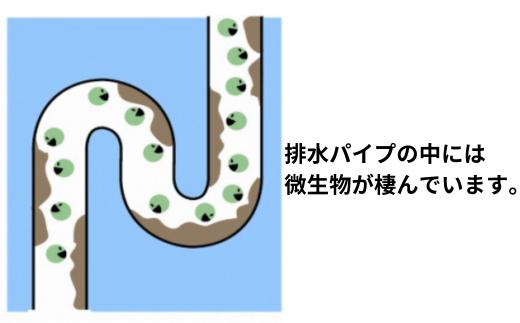 迷ったらこれ　ふるさと納税専門誌掲載品　洗濯洗剤+パイプクリーナー機能持つ緑の魔女ランドリー5L×3【洗剤 液体 環境配慮 洗濯 1万件以上の口コミ 世界中で愛される 洗濯洗剤 洗濯用洗剤 衣類洗剤 