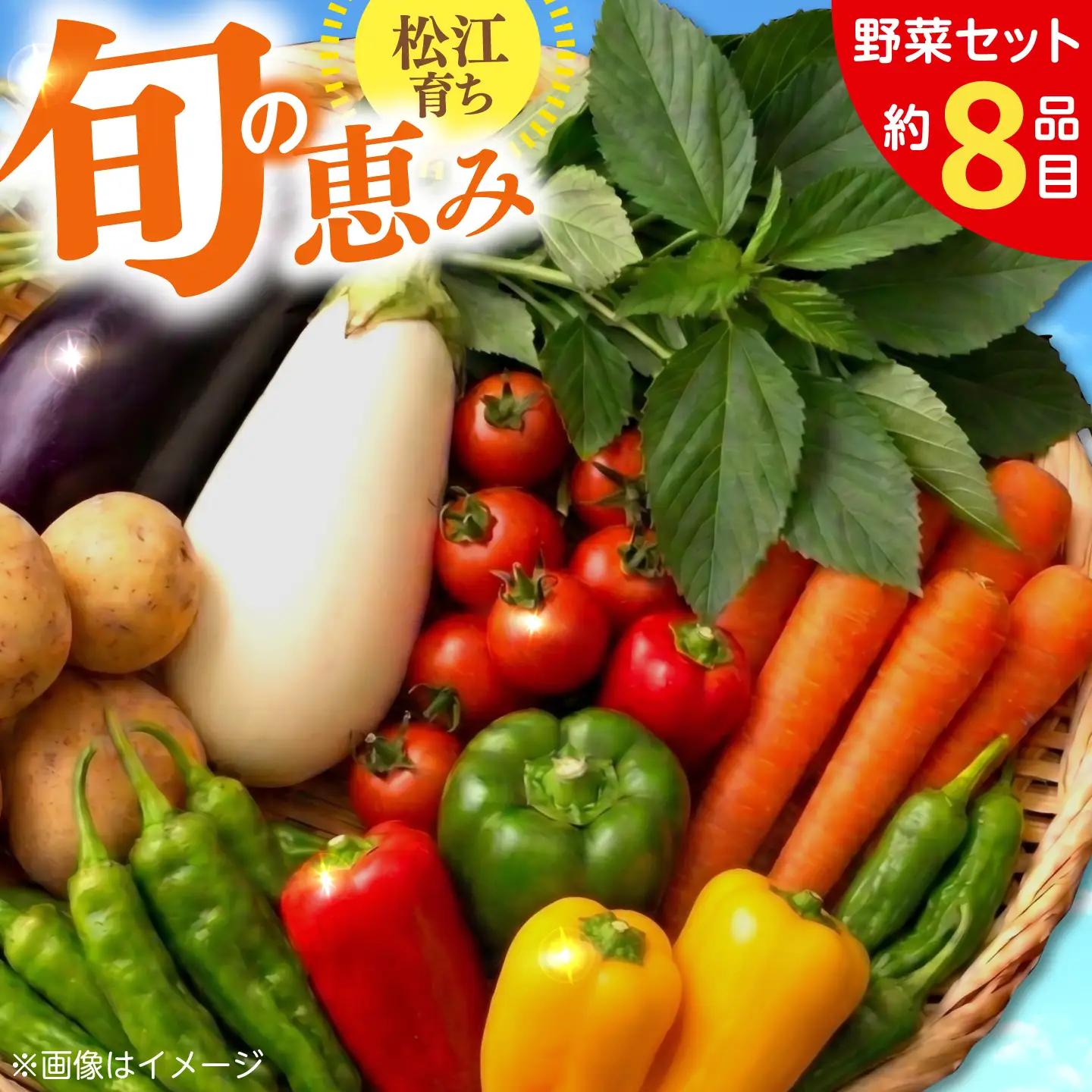 【旬の野菜セット】野菜 産地直送 詰め合わせ 栽培期間中農薬不使用 セット　島根県松江市/須山農園[ALBD004]