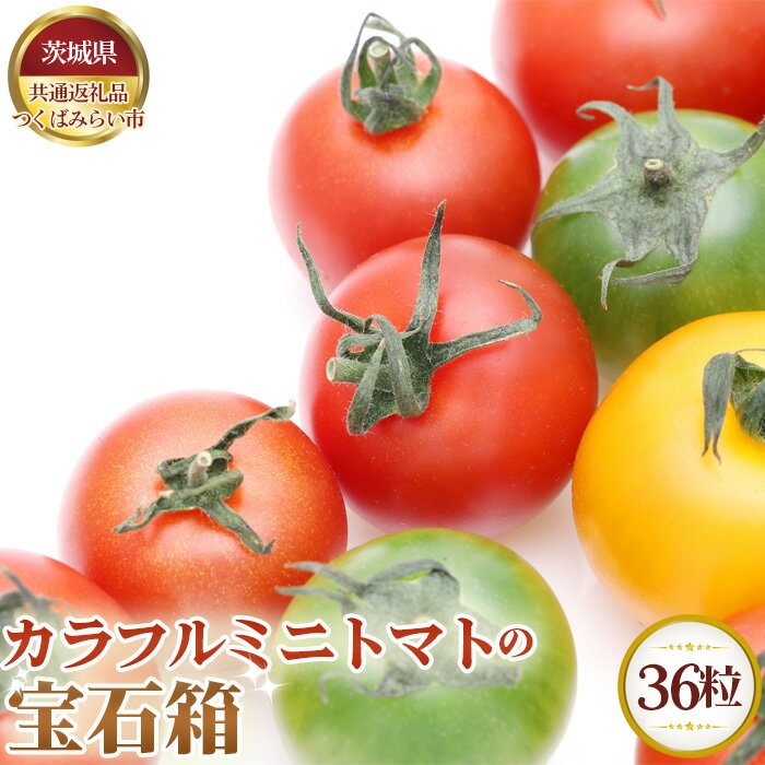 【ふるさと納税】【先行予約】カラフルミニトマトの宝石箱　36粒【茨城県共通返礼品 つくばみらい市】 ／ 旬 新鮮 とまと 野菜 送料無料 茨城県 No.626
