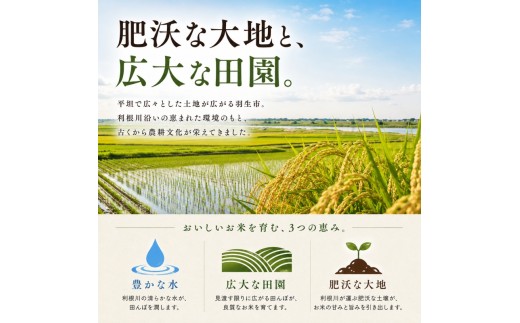 【最短1週間以内発送！】 あさひの夢 10kg 【精米】 令和7年産 5kg × 2袋 白米 米 お米 ライス 10キロ 米10kg ごはん こめ コメ はくまい kome okome ※ ブランド米