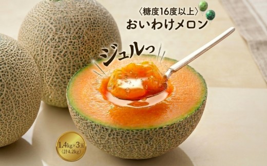 
            ＜2026年発送＞おいわけメロンパック 糖度16度以上 1.4kg前後×3玉(数量限定)【1137369】
          