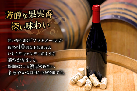 赤ワイン「アダージョ上ノ山」750ml×5本｜日本ワイン フラネオール 10倍