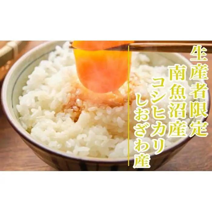 【令和8年産　新米予約】定期便12ヶ月：精米2kg生産者限定 南魚沼しおざわ産コシヒカリ【定期便 銘柄米 ブランド米 精米 こしひかり コシヒカリ 魚沼産 ごはん】【2026年10月上旬から1ヶ月以内