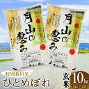 【ふるさと納税】【令和6年産】特別栽培米 ひとめぼれ【玄米】10kg（5kg×2袋） 2024年 | 山形県 鶴岡市 ブランド米 お取り寄せ ご当地 お米 おこめ 特栽 コメ 単一米 10キロ