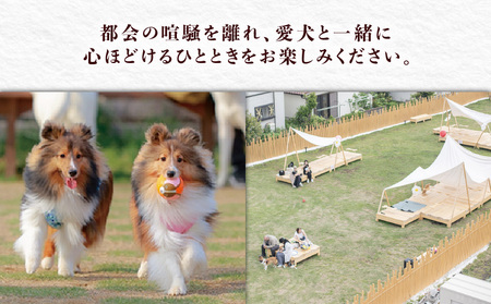 ペットと泊まるホテル Doki Doggie 油壷 globe 大人1名1泊2食付き M131-002-01 チケット 体験