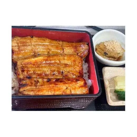 国産うなぎ（蒲焼）2枚　セット　AT002