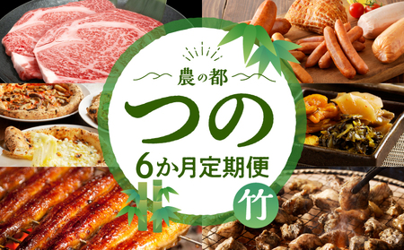 ≪6か月お楽しみ定期便≫都農町定期便(竹) 肉 加工品 鰻 国産_T999-0063