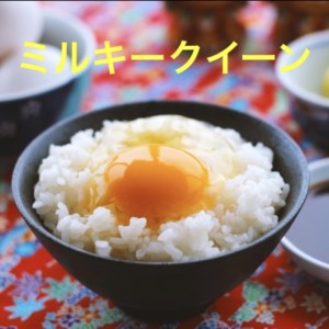 新米【令和7年産】ミルキークイーン 白米 5kg もっちりあまあま！茨城県産 ブランド米 [1665]