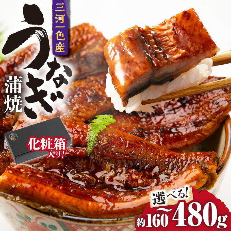 【ふるさと納税】三河一色産うなぎ蒲焼《化粧箱入》【選べる尾数】うなぎ 国産 一色産 三河産 愛知県産 鰻 炭火焼 贈答用 プレゼント 魚介類 グルメ 蒲焼 簡単調理 お取り寄せ 愛知県 西尾市 冷凍便 送料無料 O060-SKU