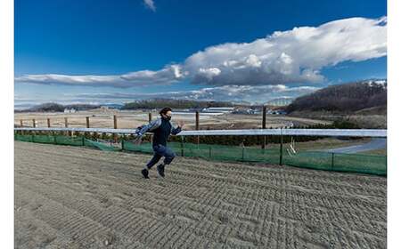 月1回限定開催 ノーザンファーム天栄見学ツアー ペア招待 （2026年6月分） ※記念品無しプラン UMAJO 期間限定 東北 福島県 天栄村 競馬 ノーザン 応援 思い出 記念 F21T-393