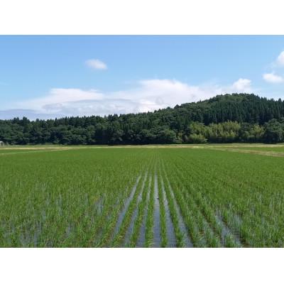 ふるさと納税 村上市 【新米受付・令和8年産米】新潟県村上市岩船産 特別栽培米 ちょっと贅沢なコシヒカリ 5kg 047N |  | 01