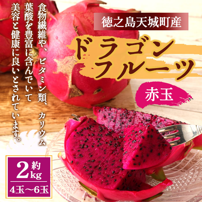 【2026年発送分】ご家庭用 徳之島 天城町産ドラゴンフルーツ 赤色 約2kg ピタヤ AJ-4-N マイナビ