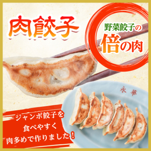 【佐野餃子(中)肉餃子24個4人前】×2袋と【佐野餃子(中)野菜餃子24個4人前】×2袋【配送不可地域：離島・沖縄県】【1116676】