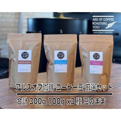 ふるさと納税 鳥栖市 厳選 珈琲豆 100g×3種セット　スペシャルティコーヒー (豆のまま)