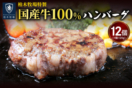 [ジュワッと肉汁まで美味い！] 柏木牧場特製 国産牛100%ハンバーグ (120g×12個)｜国産 ハンバーグ 冷凍 グルメ ギフト お惣菜 惣菜 [0067]