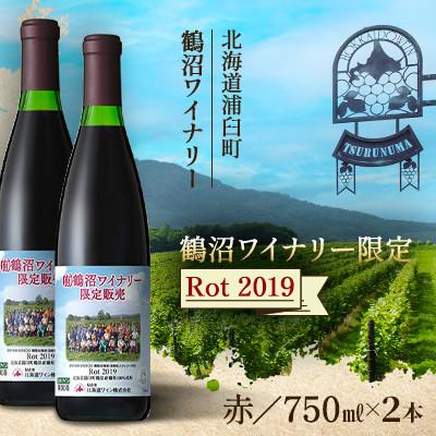 ふるさと納税 浦臼町 鶴沼収穫ワイン 鶴沼ワイナリー限定【Rot】赤ワイン 2019年産 2本セット