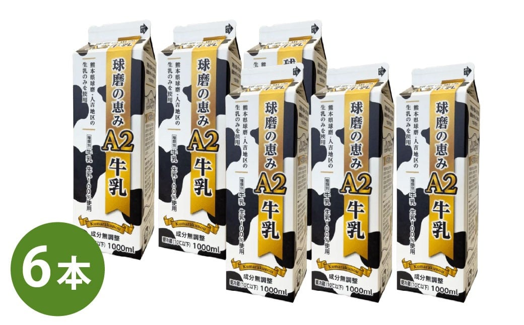 
            球磨の恵みA2牛乳 6パック 1パック1000ml 1L 計6L 生乳100% ぎゅうにゅう ミルク 
          