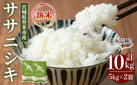 ≪令和7年産 新米≫ ササニシキ 10kg (5kg×2袋) 登米市産 お米 おこめ 米 コメ ささにしき 白米 ご飯 ごはん おにぎり お弁当 【登米ライスサービス株式会社】tm149