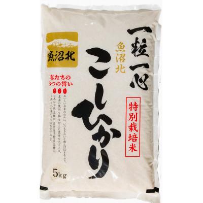 ふるさと納税 小千谷市 令和7年産 魚沼産コシヒカリ 5kg【特別栽培米】 |  | 01