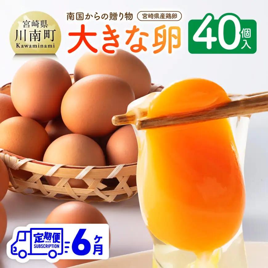 【6ヶ月定期便】宮崎県産鶏卵 「南国からの贈り物」大きな卵40個入り（35個+破損補償5個）【たまご 卵 玉子 タマゴ】
