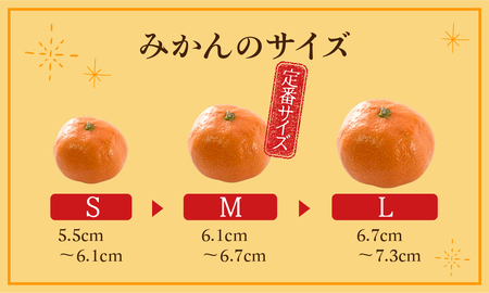 ≪先行予約≫ 濃厚ハウスみかん『蜜ツ星』秀品２kg（Ｌサイズ18玉）