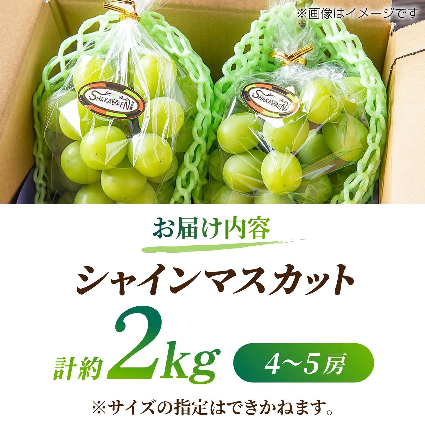 【訳あり】 シャインマスカット 約2kg(4～5房)【合同会社 社方園】[ZBZ032]