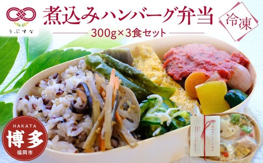 【冷凍】煮込みハンバーグ弁当3食セット　有機・特別栽培野菜　九州　福岡　国産食材