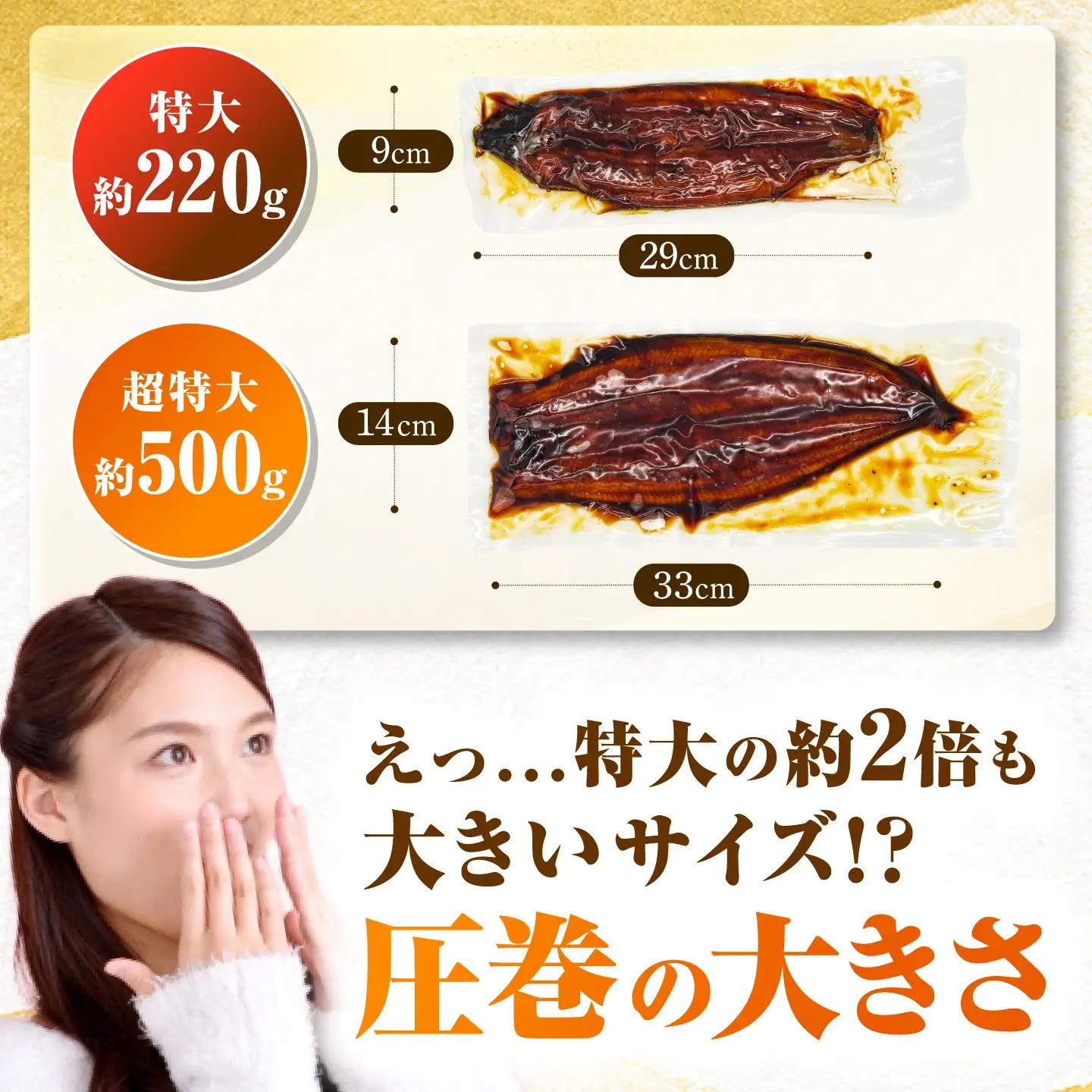 【新登場】 うなぎの蒲焼 2尾(1尾約500g) [AFBS032-CP]