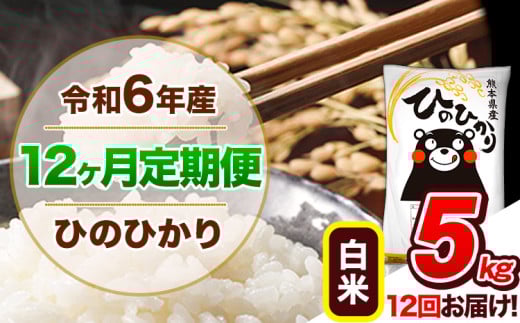 【12ヶ月定期便】令和6年産  定期便 ひのひかり 5kg 《申込み翌月から発送》令和6年産 熊本県産 ふるさと納税 白米 精米 ひの 米 こめ ふるさとのうぜい ヒノヒカリ コメ 熊本米 ひのもり