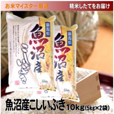 ふるさと納税 魚沼市 【令和8年産先行受付】お米マイスター厳選　魚沼産こしいぶき100%(精米)10kg(5kg×2袋)