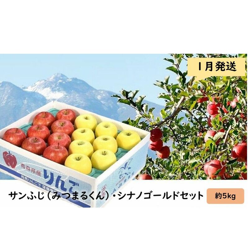 りんご 【 1月発送 】 蜜入り サンふじ （ みつまるくん ） シナノゴールド セット 約 5kg 【 弘前市産 青森りんご 】