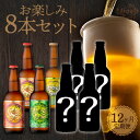 【ふるさと納税】ビール 定期便 12ヶ月 宮崎ひでじビール お楽しみ8本 セット 太陽のラガー 森閑のペールエール 九州CRAFT 日向夏Premium クラフトビール 飲み比べ 地ビール 麦酒 瓶 アルコール 送料無料