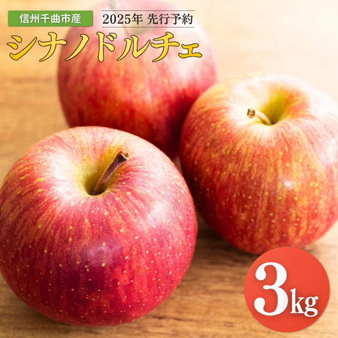 【ふるさと納税】【2025年先行予約】りんご シナノドルチェ 6~11玉 約3kg ｜ リンゴ 林檎 フルーツ 果物 信州りんご 長野県産 千曲市 信州
