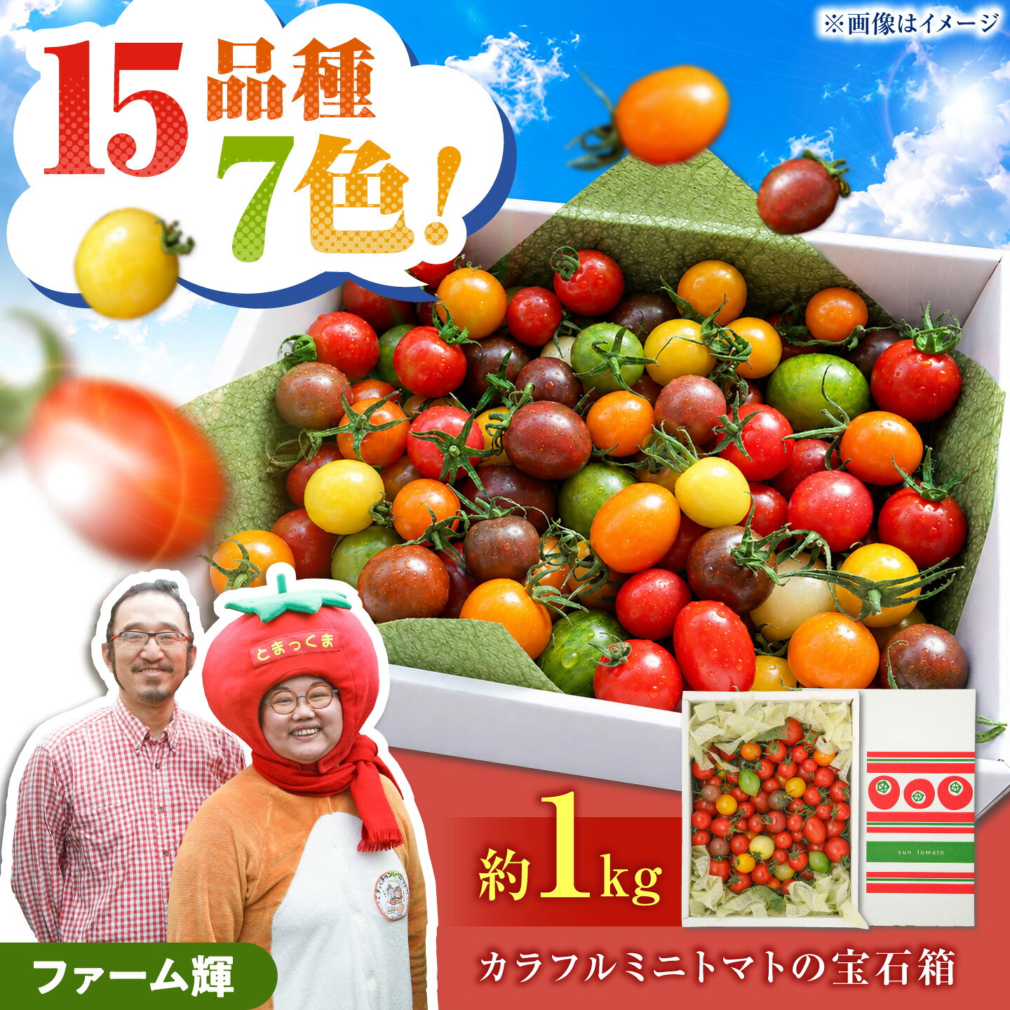【ふるさと納税】【先行予約】15品種7色の彩り/ カラフルミニトマトの宝石箱約1kg〈2026年12月上旬から順次発送〉トマト ミニトマト とまと カラフルミニトマト 詰め合わせ カラフル トマト とまと 美味しい 野菜 高知県産 高知県土佐市/ファーム輝[BQBM006]