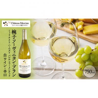 ふるさと納税 上田市 ソーヴィニヨン・ブランミッドナイト・ハーベストバレル・ファーメンテッド750ml[54040417]