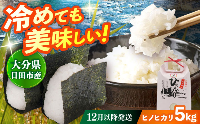 【先行予約・25年12月以降発送】令和7年産大分県産ヒノヒカリ 5kg　日田市 / JAおおいた日田グリーンセンター こめ コメ 米 [ARDX006]