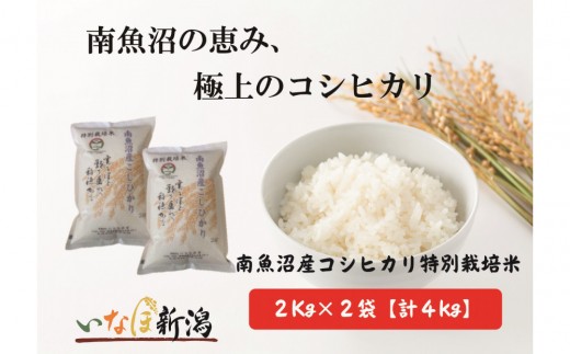 
                  【令和7年産米】南魚沼産コシヒカリ特別栽培米 白米 2kg×2袋 計4kg【銘柄米 ブランド米 精米 こしひかり コシヒカリ 魚沼産 新潟米 産地直送 お米 米 こめ コメ ご飯 御飯 ごはん】
                
