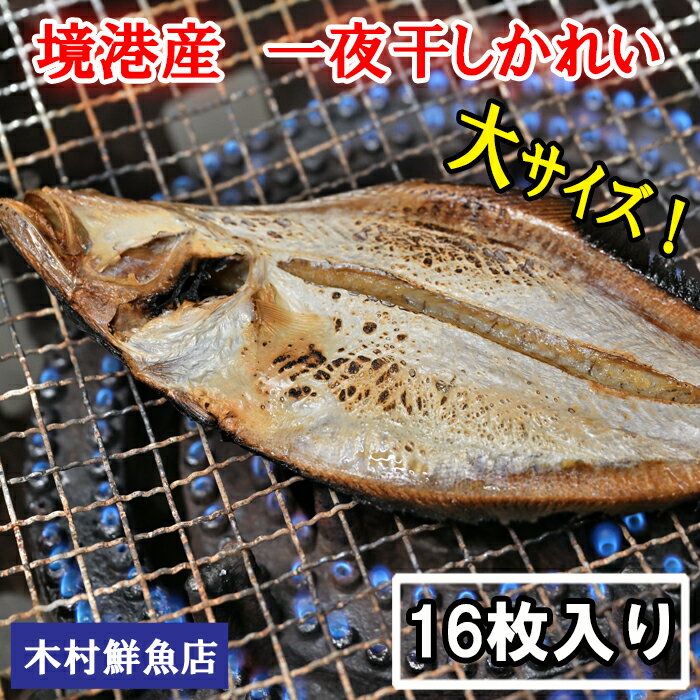 【ふるさと納税】境港産一夜干しかれい（16枚）　KI07