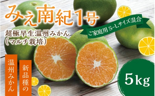 みかん 【先行予約】みえ南紀１号 ご家庭用 S-Lサイズ混合 たにぐち農園の超極早生温州みかん(マルチ栽培) 5kg【2025年9月上旬～9月25日までに順次発送】 / ご家庭用 家庭用 不揃い フルーツ 極早生 早生 温州 みかん 蜜柑 三重県 新品種 高品質 みえ【mtn001B】