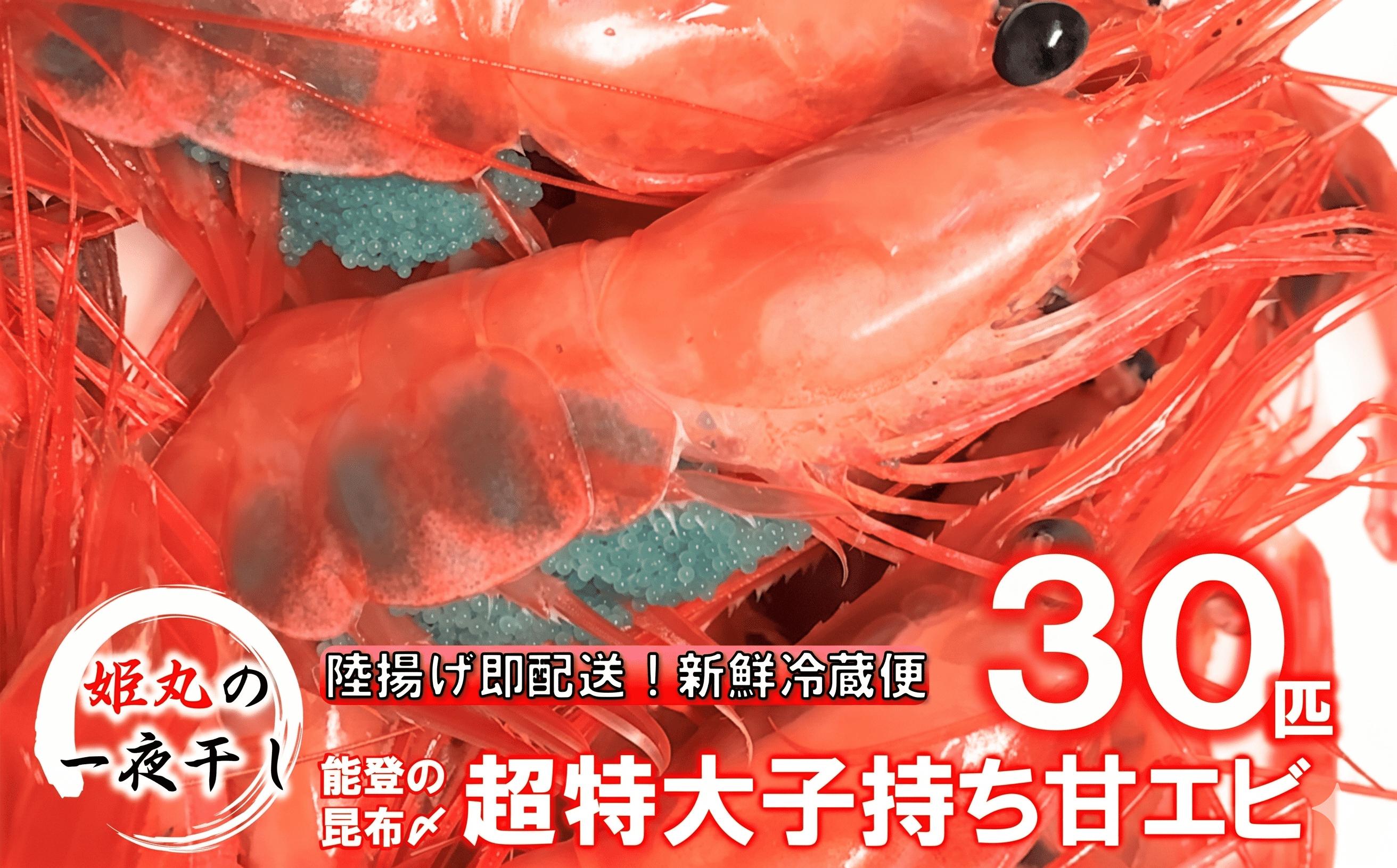 
                  【 姫丸 の 子持ち 甘エビ 超特大 ・ 30匹 丸ごと 昆布〆 】 2026年 9月 - 10月 発送
                