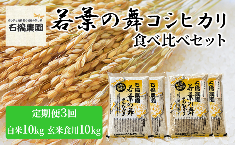 
米 若葉の舞 コシヒカリ 白米10Kg玄米食用10Kg 食べ比べセット 定期便3回 こしひかり お米 白米 玄米 セット 食べ比べ 定期便 精米 千葉 千葉県 低温保存 [№5346-0793]
