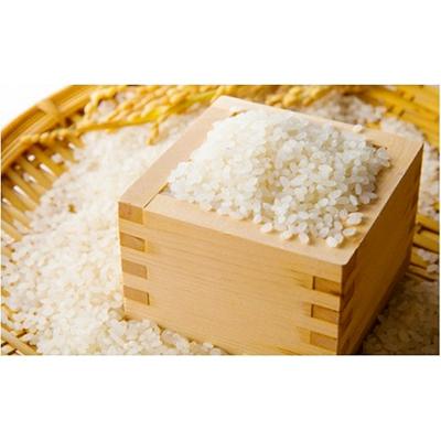 ふるさと納税 丹波市 兵庫県丹波市産コシヒカリ「丹波ひかみ米」5kg×2