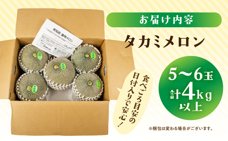 【先行予約】タカミメロン 5~6玉 メロン ニュー渥美観光